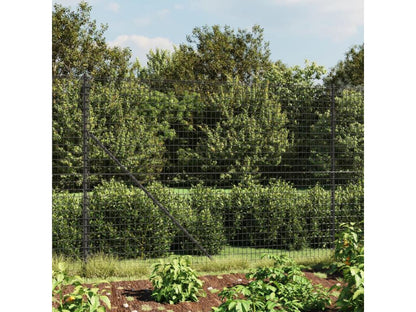 Clôture en treillis métallique anthracite 2x25m acier galvanisé VEHT31408