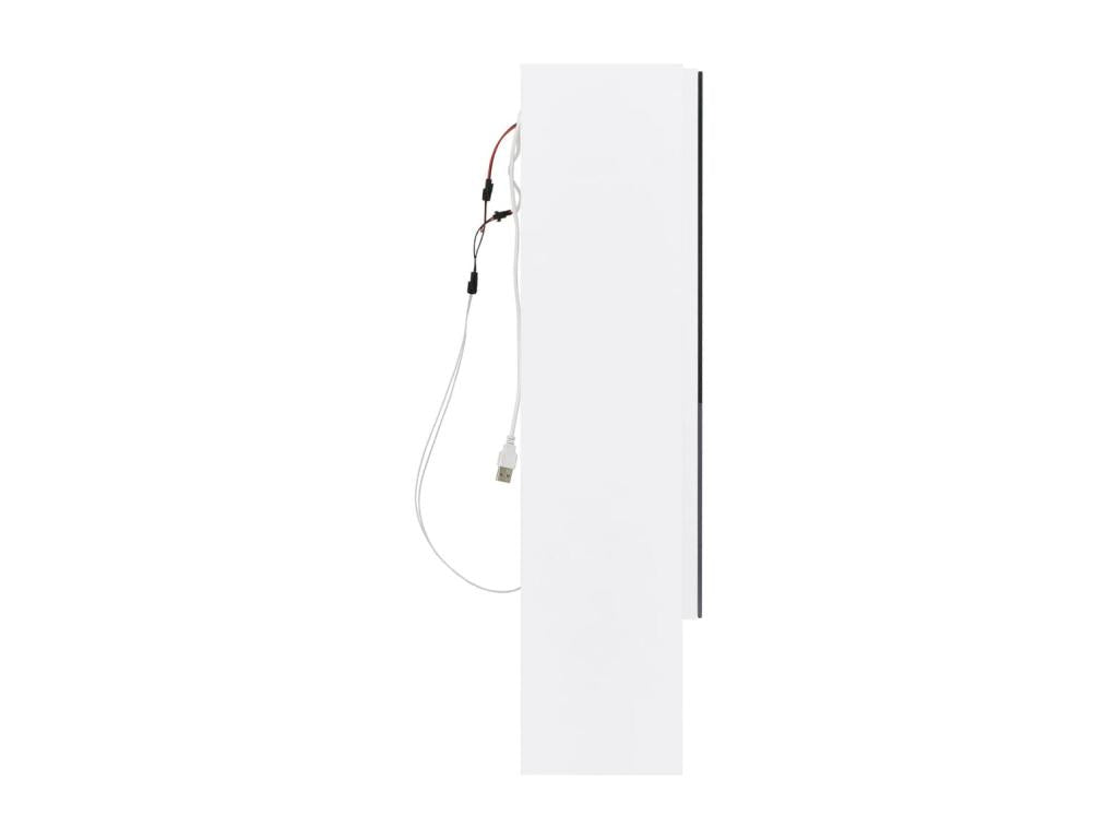 Armoire à miroir de salle de bain LED Blanc 80x15x60 cm MDF NTSS00590