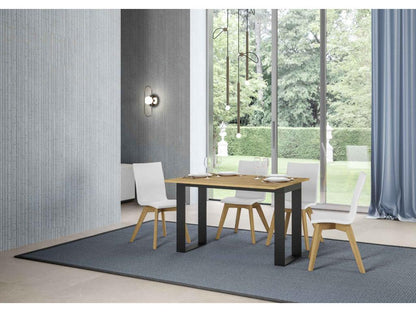 Table extensible portefeuille 120/200x45/90 cm Tecno Double Chêne Nature cadre Anthracite PHQX98608