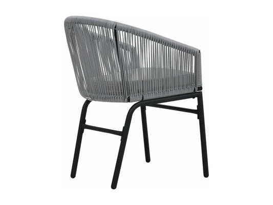 Chaises de jardin 2 pièces Anthracite Rotin PE RYGN53249