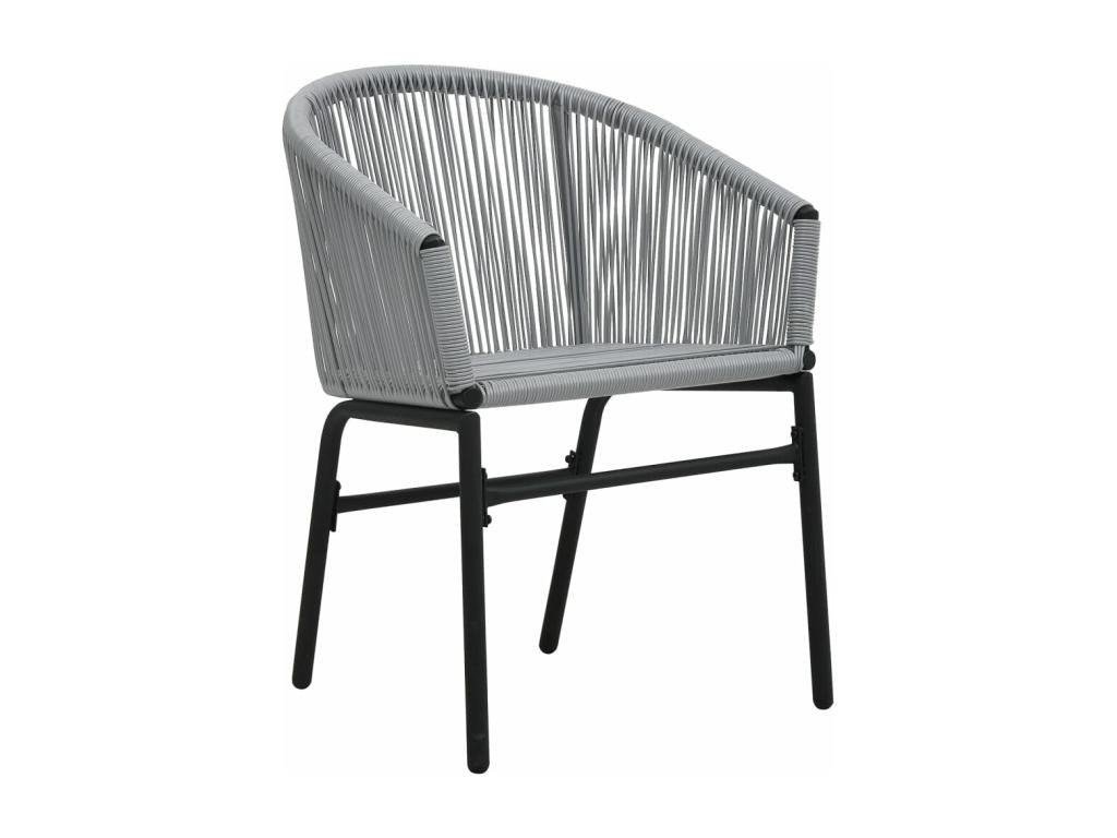 Chaises de jardin 2 pièces Anthracite Rotin PE RYGN53249